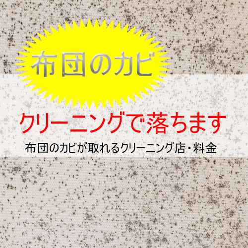 布団のカビはクリーニングで落ちます！ただし注意点あり